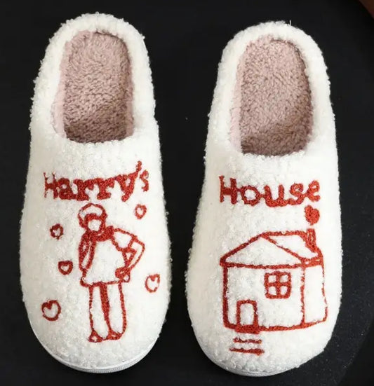 Harry’s House Slippers